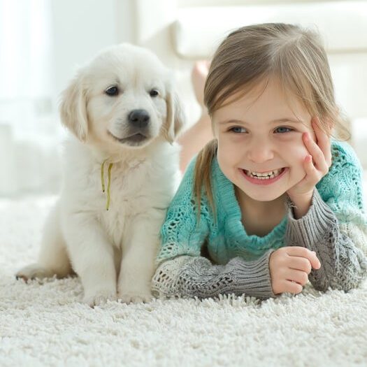 Kid and dog on carpet | Kopp's Carpet & Decorating